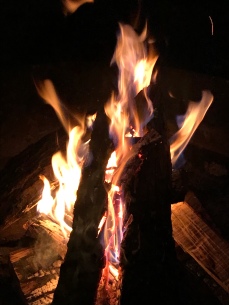 I love a good camp fire!