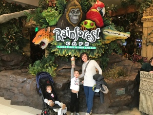 Rainforest Cafe anyone? Yes, please!